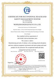 ISO45001ְҵ������ȫ������ϵ��֤Ӣ�İ�